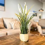 Apartment Baltischer Hof 10 Boltenhagen (Ostseebad)