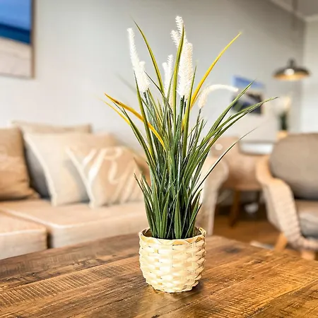 Apartmán Baltischer Hof 10 Boltenhagen (Ostseebad)
