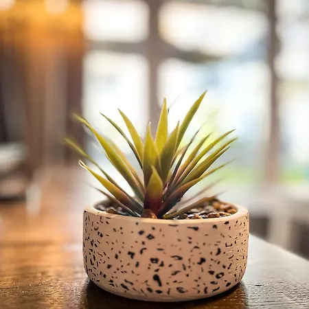 Baltischer Hof 10 Appartamento Boltenhagen (Ostseebad)