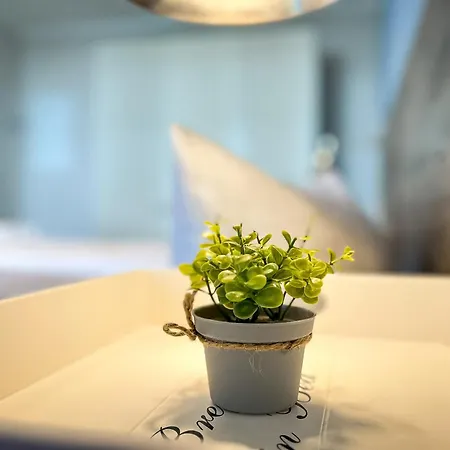 Baltischer Hof 10 Apartment Boltenhagen (Ostseebad)