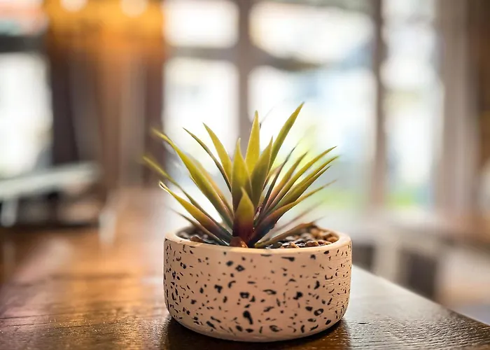 Baltischer Hof 10 Appartement Boltenhagen (Ostseebad)